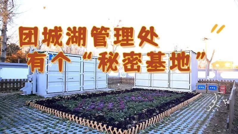 团城湖管理处有个“秘密基地”