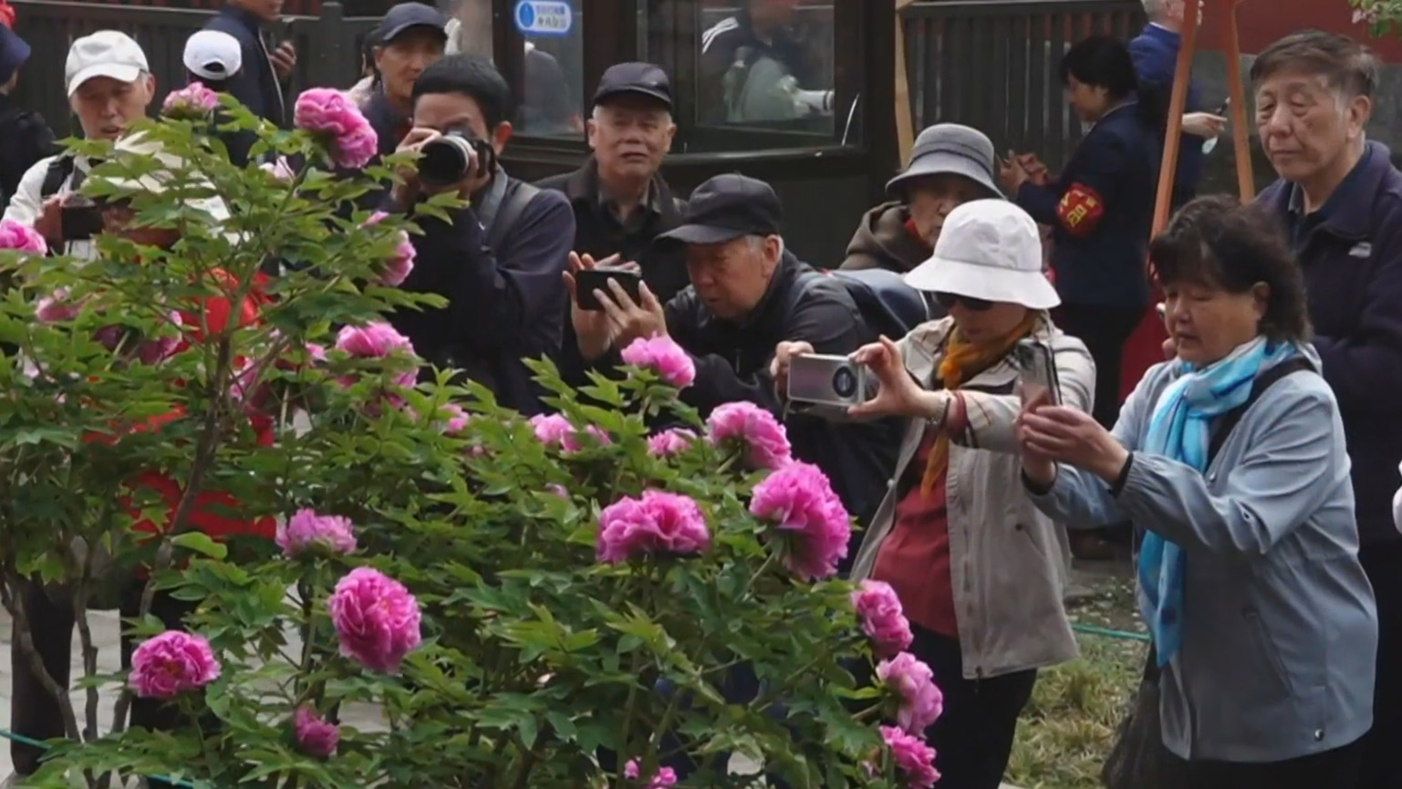 观影入花径 书香赴春约 北京三大文化品牌联动邀市民共赴“春日之约”