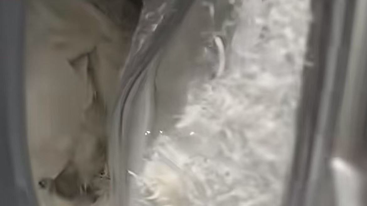 女子洗衣机洗羽绒服发生爆炸脸部受伤