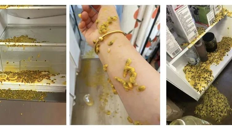 注意!这四种东西放冰箱,可能会“爆” 注意!这四种东西放冰箱,可能会“爆”