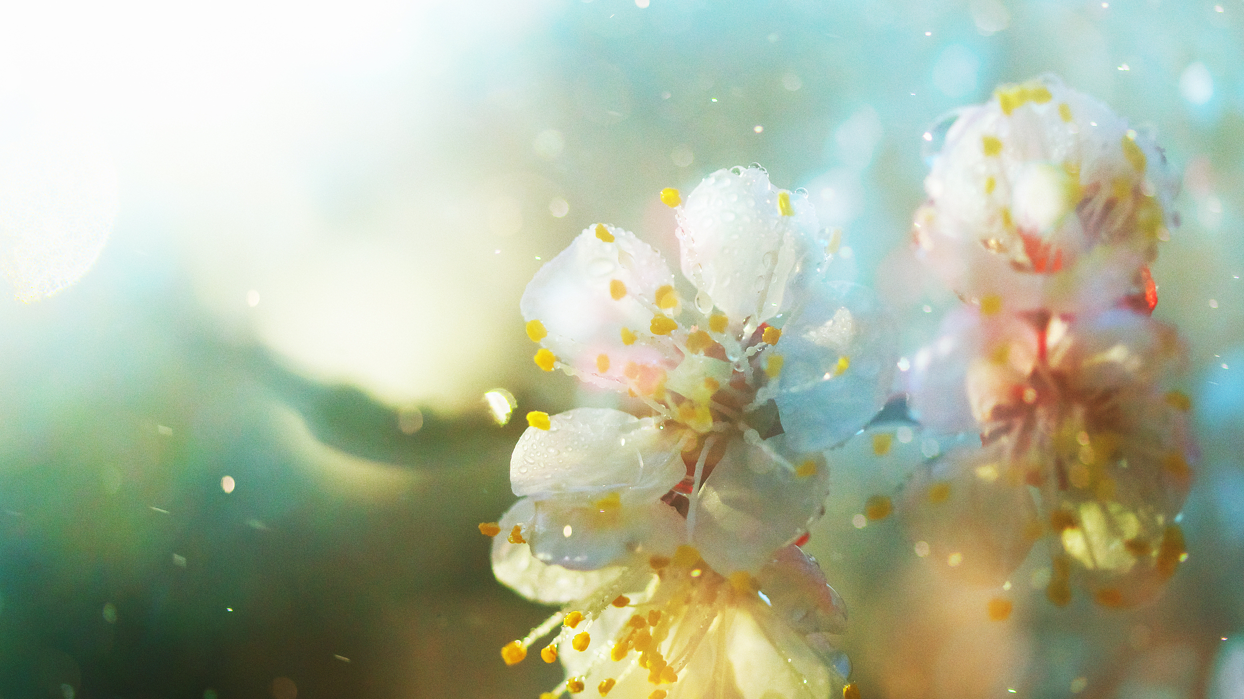 “过敏星人”注意啦！今日预计花粉浓度4~5级，专家教你科学抗过敏