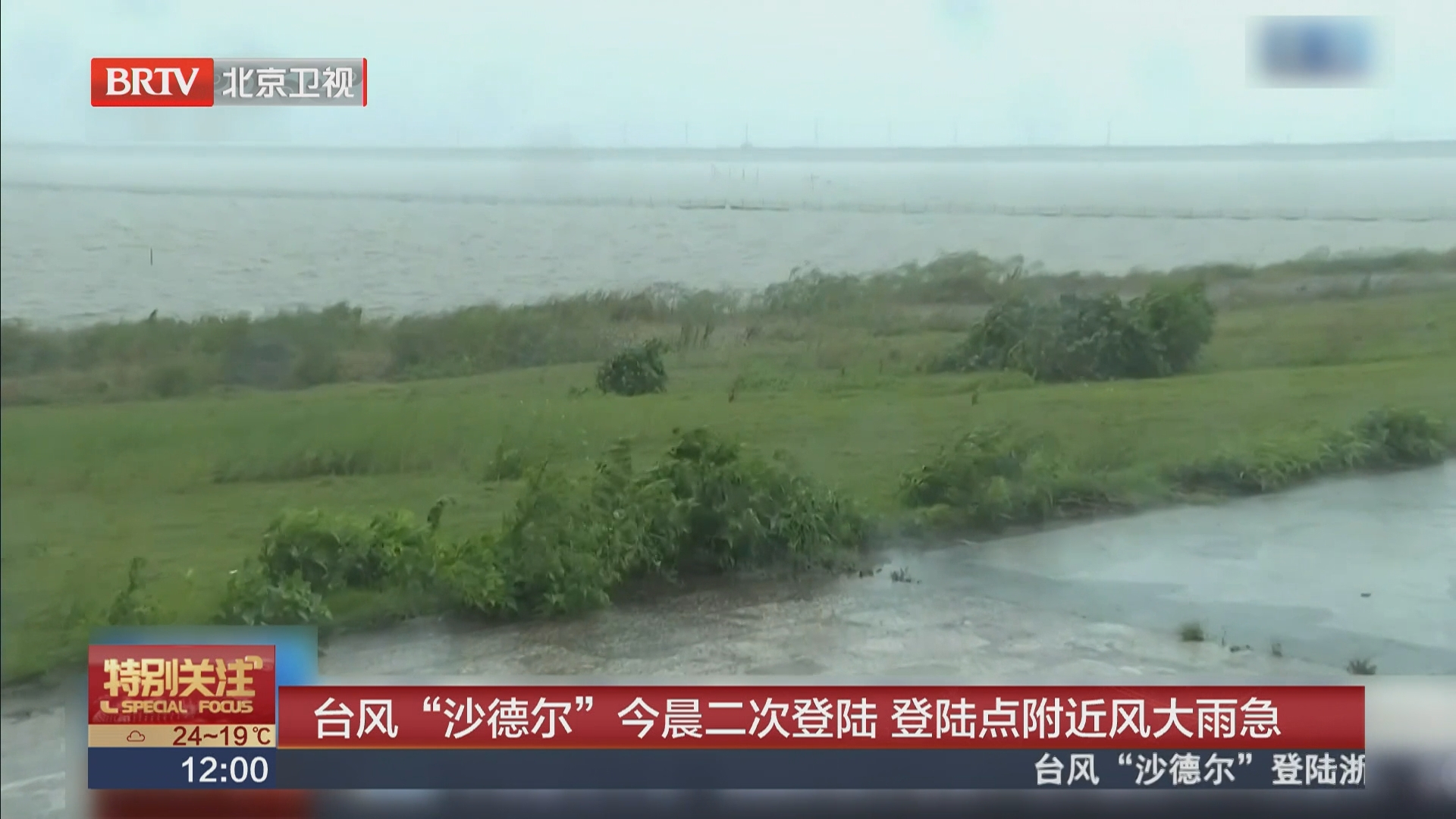 台风“沙德尔”今晨二次登陆 登陆点附近风大雨急 台风“沙德尔”今晨二次登陆 登陆点附近风大雨急