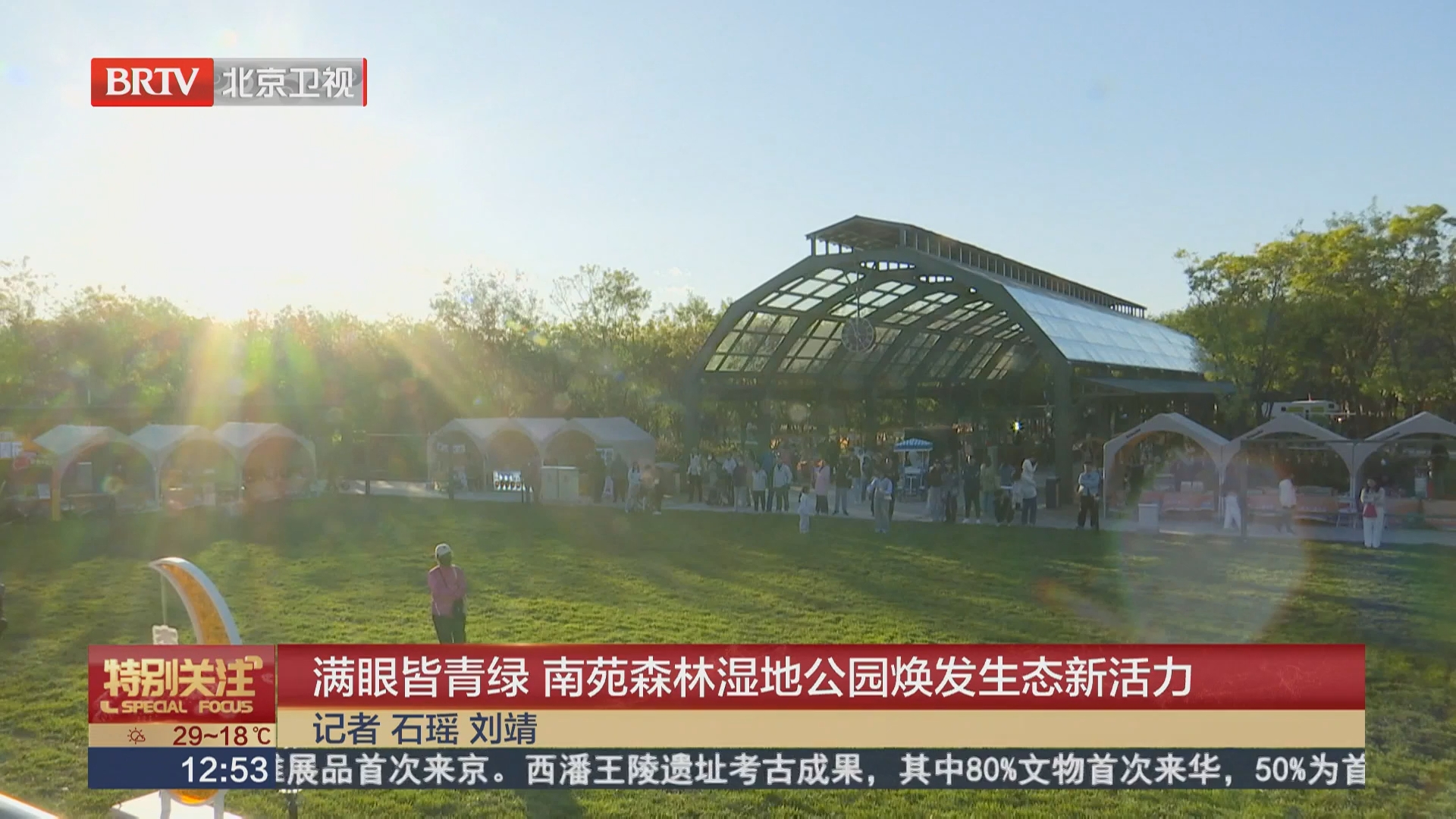 满眼皆青绿 南苑森林湿地公园焕发生态新活力
