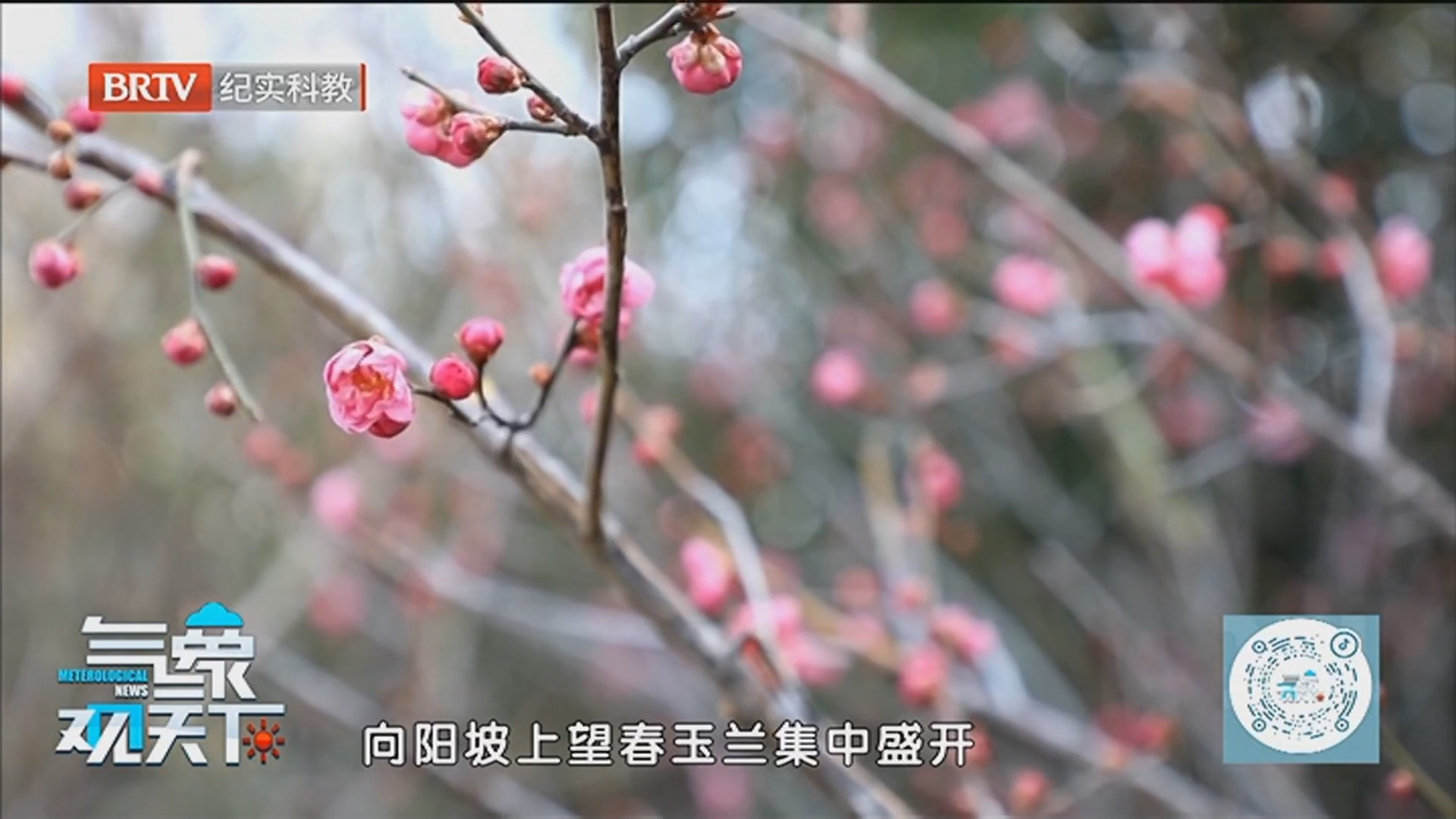 《气象观天下》20260322气温起伏不定 厚衣服还不能脱