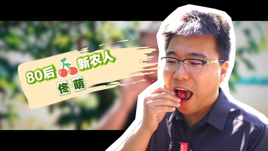 【京·花果蜜】“你不哄地，地不哄你”：80后樱桃园主的耕耘哲学