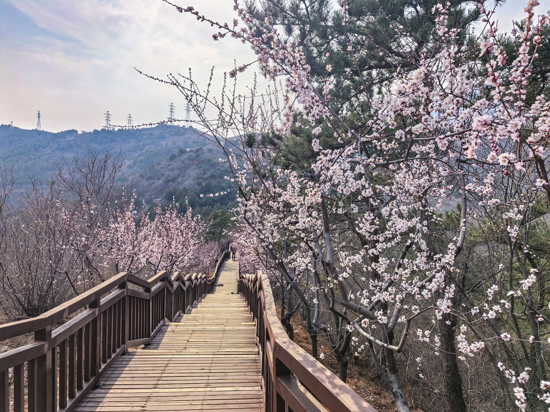 不再错过赏春花、看雪景！雁栖湖西山栈道全年开放啦