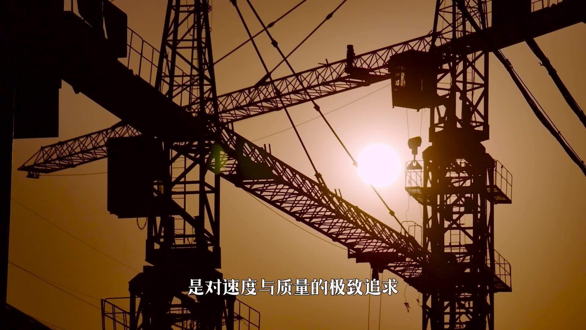 一棵树的十年,一座城的黎明 一棵树的十年,一座城的黎明