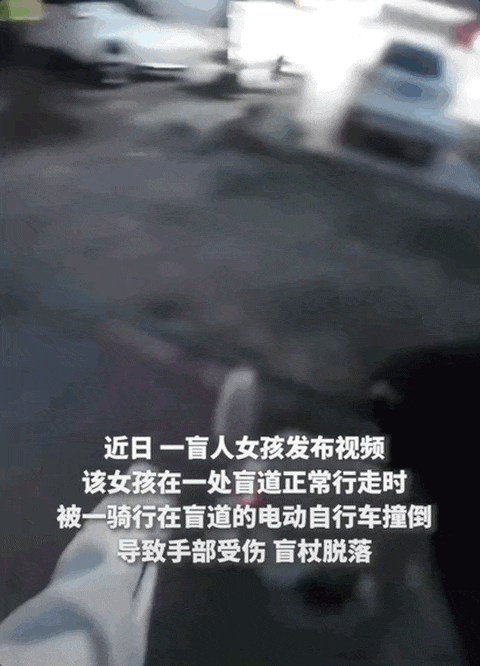 “抱抱盲兔”摆拍细节曝光,律师回应 “抱抱盲兔”摆拍细节曝光,律师回应