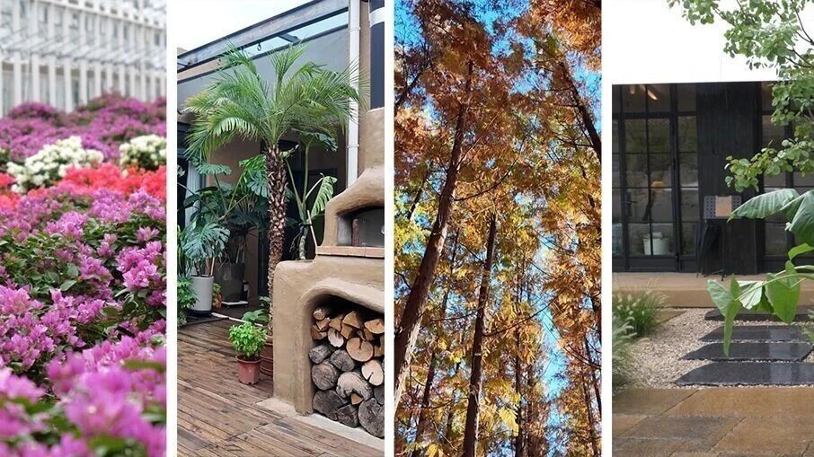 Country Walk在顺义,5.9公里体验乡村慢生活 Country Walk在顺义,5.9公里体验乡村慢生活