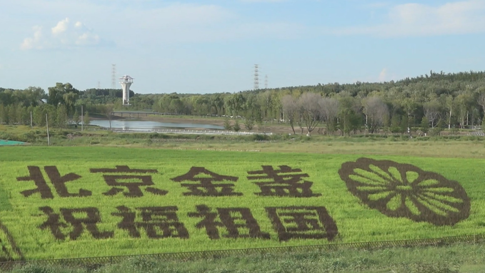 大地为纸稻为墨 京郊稻田画绘就乡村新图景 大地为纸稻为墨 京郊稻田画绘就乡村新图景