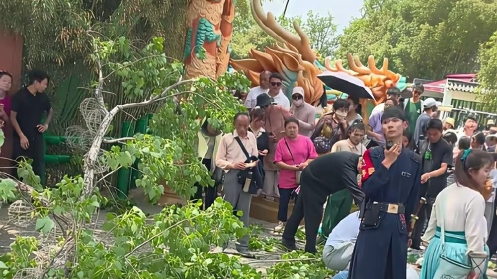 一棵树断裂砸倒多名游客，万岁山武侠城发布道歉说明