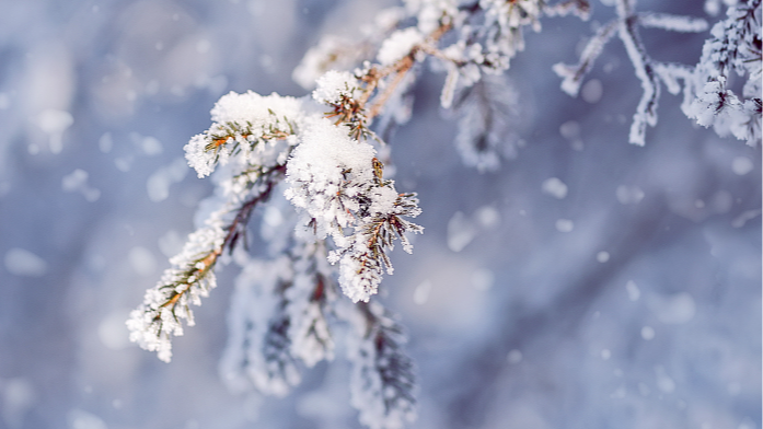 大寒开启，多地天气为今冬以来最冷，最新气象分析