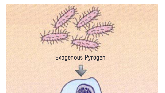 嗓子疼是感冒警报？做对这些事阻断病毒