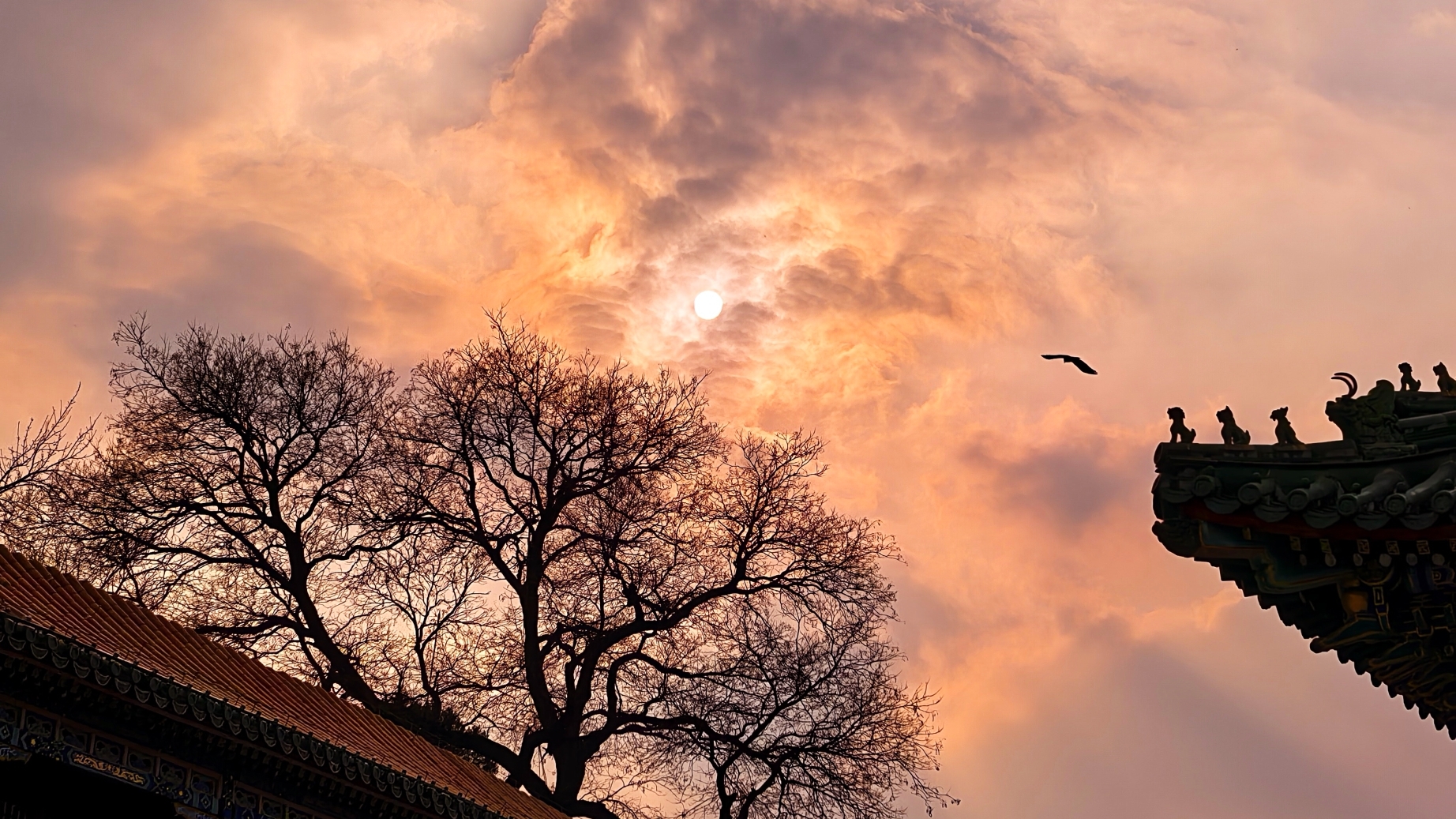 瑰丽多姿!北京落日余晖云霞翻涌成画 瑰丽多姿!北京落日余晖云霞翻涌成画
