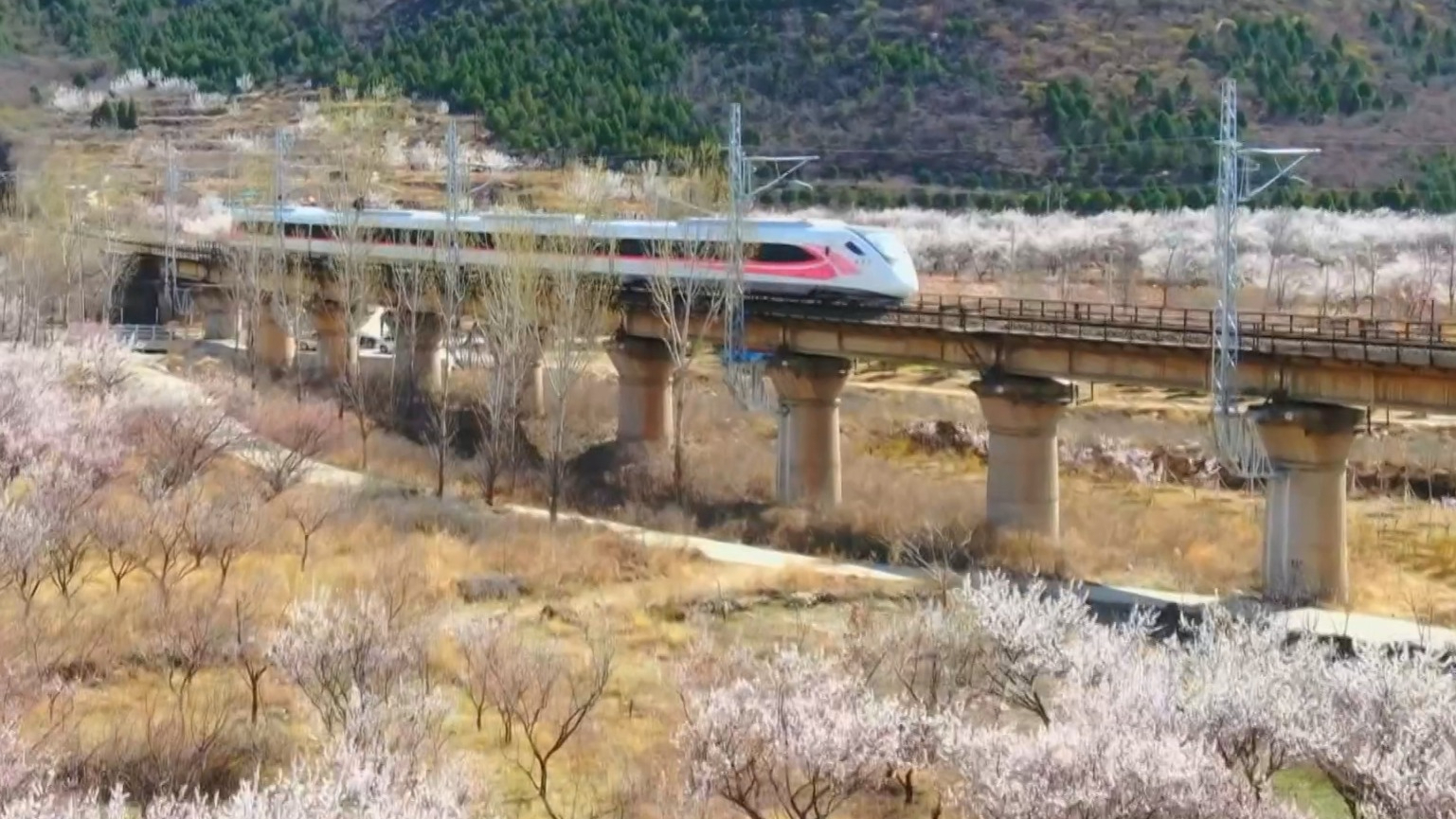 市郊铁路怀密线“换装”上新 春日经济带动文旅热 市郊铁路怀密线“换装”上新 春日经济带动文旅热