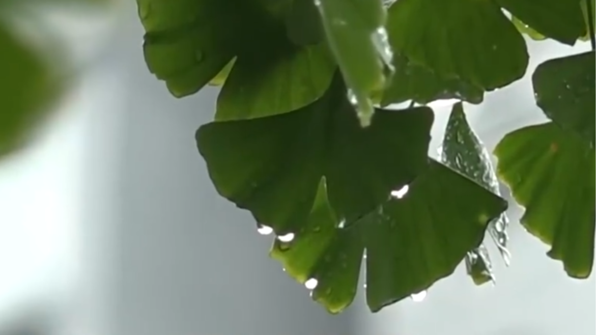 未来三天北京多雷雨天气，最高气温将在30℃以上