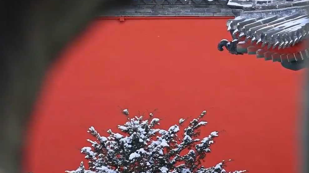 浪漫别致！沈阳故宫下雪好有故事感