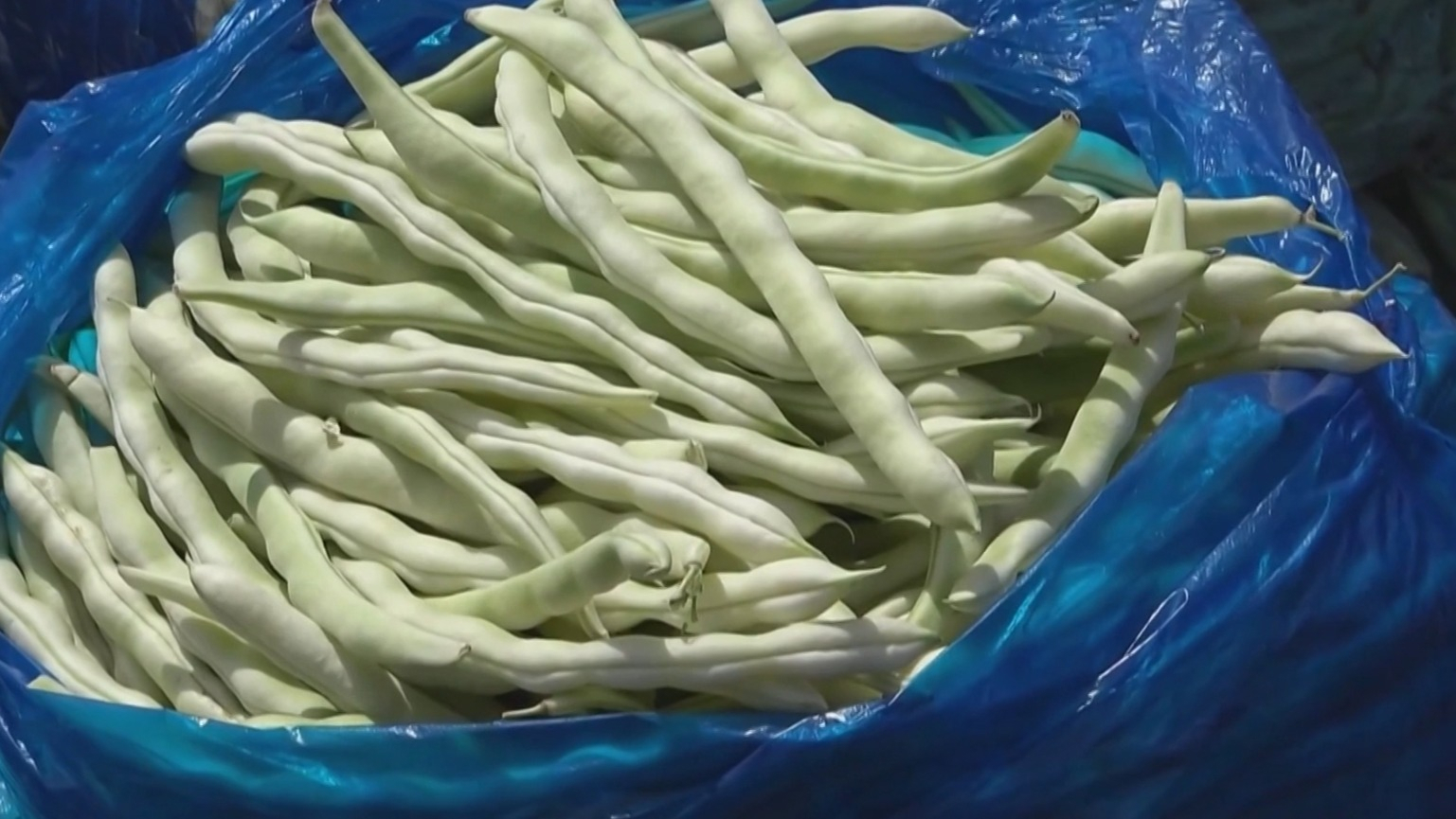 新发地上市蔬菜2万余吨 大风天“菜篮子”量足价稳