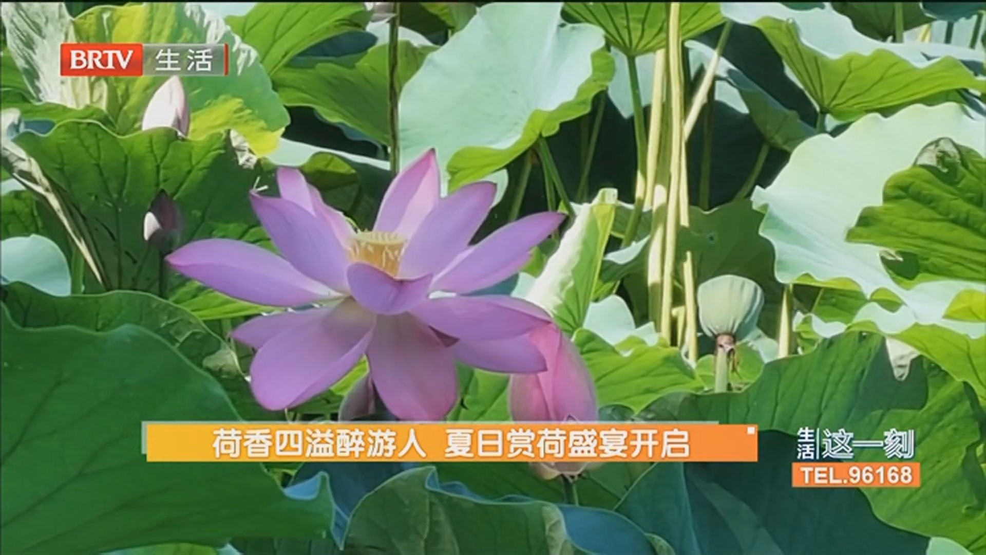 《生活这一刻》20260706