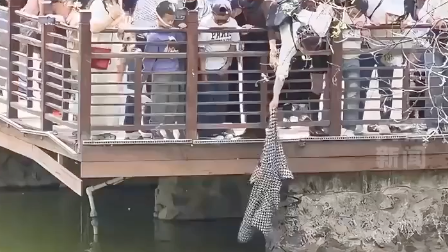 为急中生智点赞！女子一件外套拽回两条命