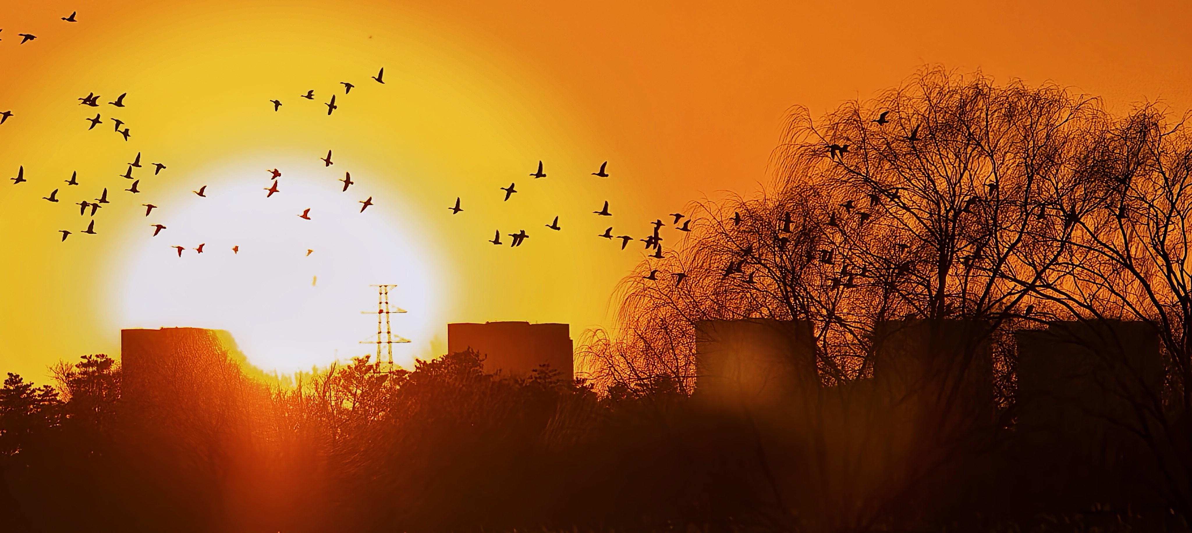 此刻，京城寒暖相映，冰上欢声逐晚晖