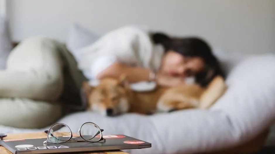 今晚,睡眠时间务必调整一下! 今晚,睡眠时间务必调整一下!