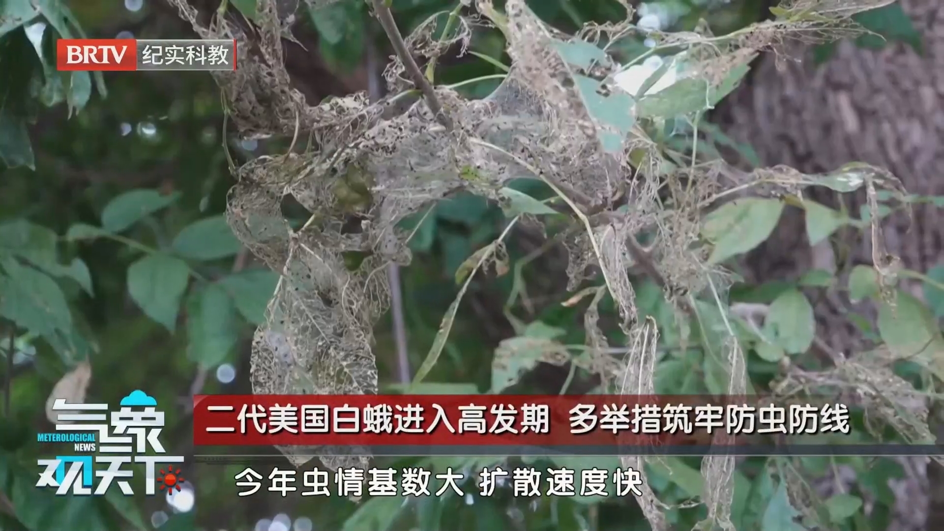《气象观天下》20260914