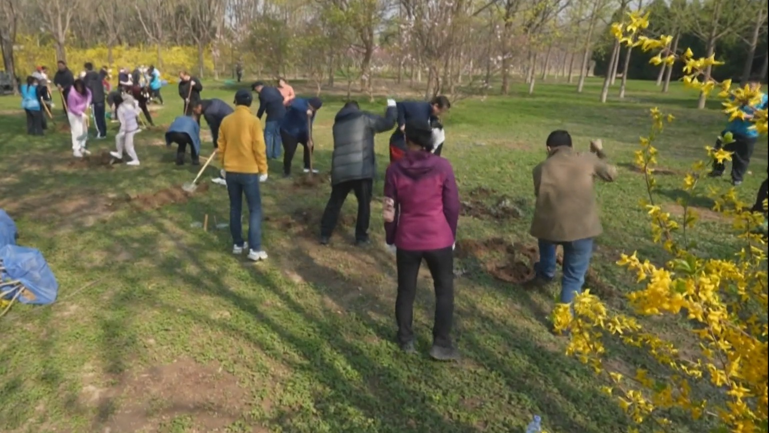 第42个首都全民义务植树日:首都各界植绿护绿 建设花园城市 第42个首都全民义务植树日:首都各界植绿护绿 建设花园城市