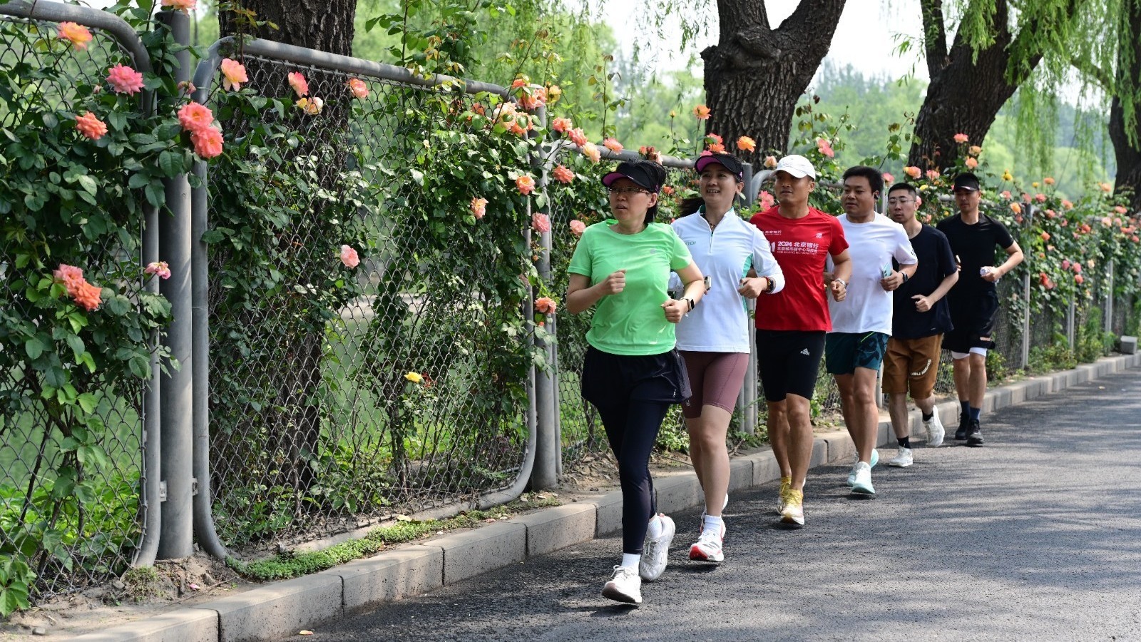 京密引水渠新建62公里“花墙” 京密引水渠新建62公里“花墙”