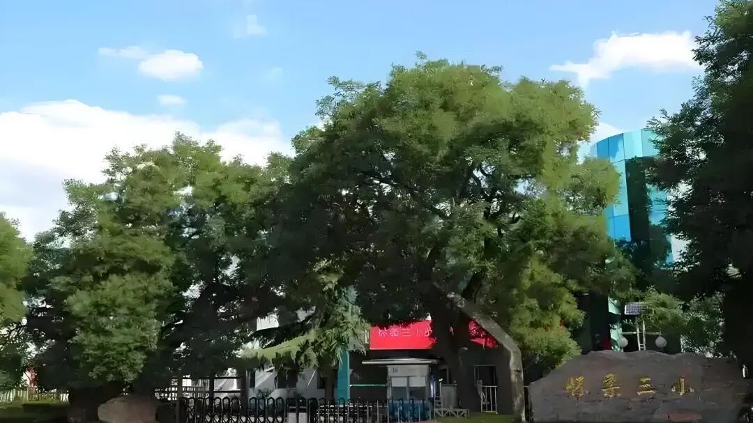 从怀柔三小院内的下马碑说起