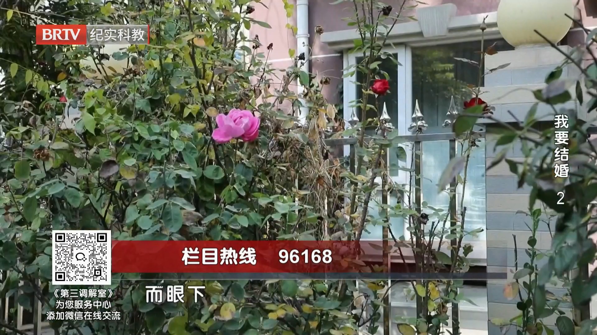 《第三调解室》20261005我要结婚（2）