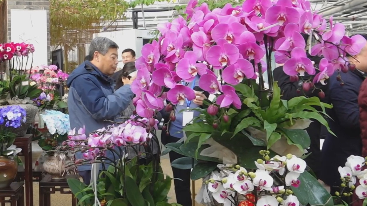 2025北京家庭园艺嘉年华举办首场活动 2025北京家庭园艺嘉年华举办首场活动