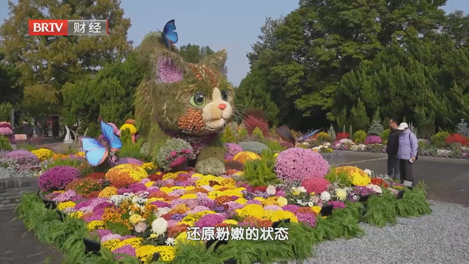 赏菊热拉动游园消费 市属公园巧做秋日文章