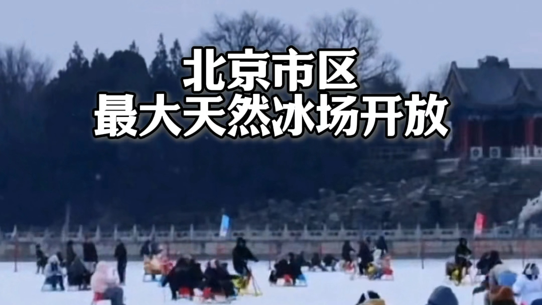 北京市内最大天然冰场开放！仅开不到20天，速来！