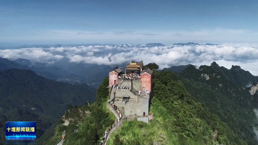 天下武当，太极和合！2025国际武当太极文化节持续擦亮武当品牌