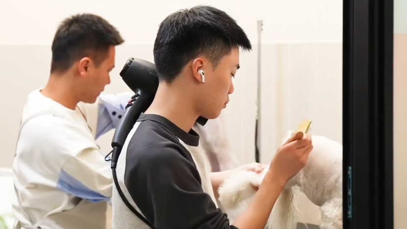 平谷区打造北京市首家宠物经济产业园 平谷区打造北京市首家宠物经济产业园