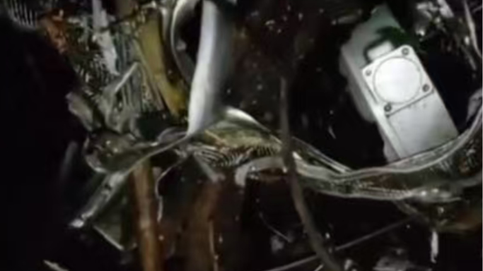 印度发生医疗专机坠毁事故，致7人死亡