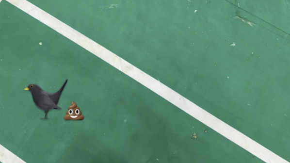 世界羽联回应印度公开赛猴子入场、落鸟粪等问题