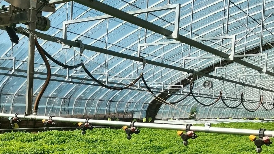 科技赋能春耕—延庆智慧育苗大棚“藏”起乡村致富密码