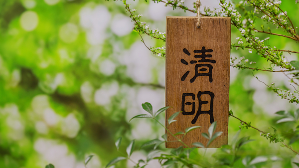 为什么要过清明节，这是我听过最好的答案