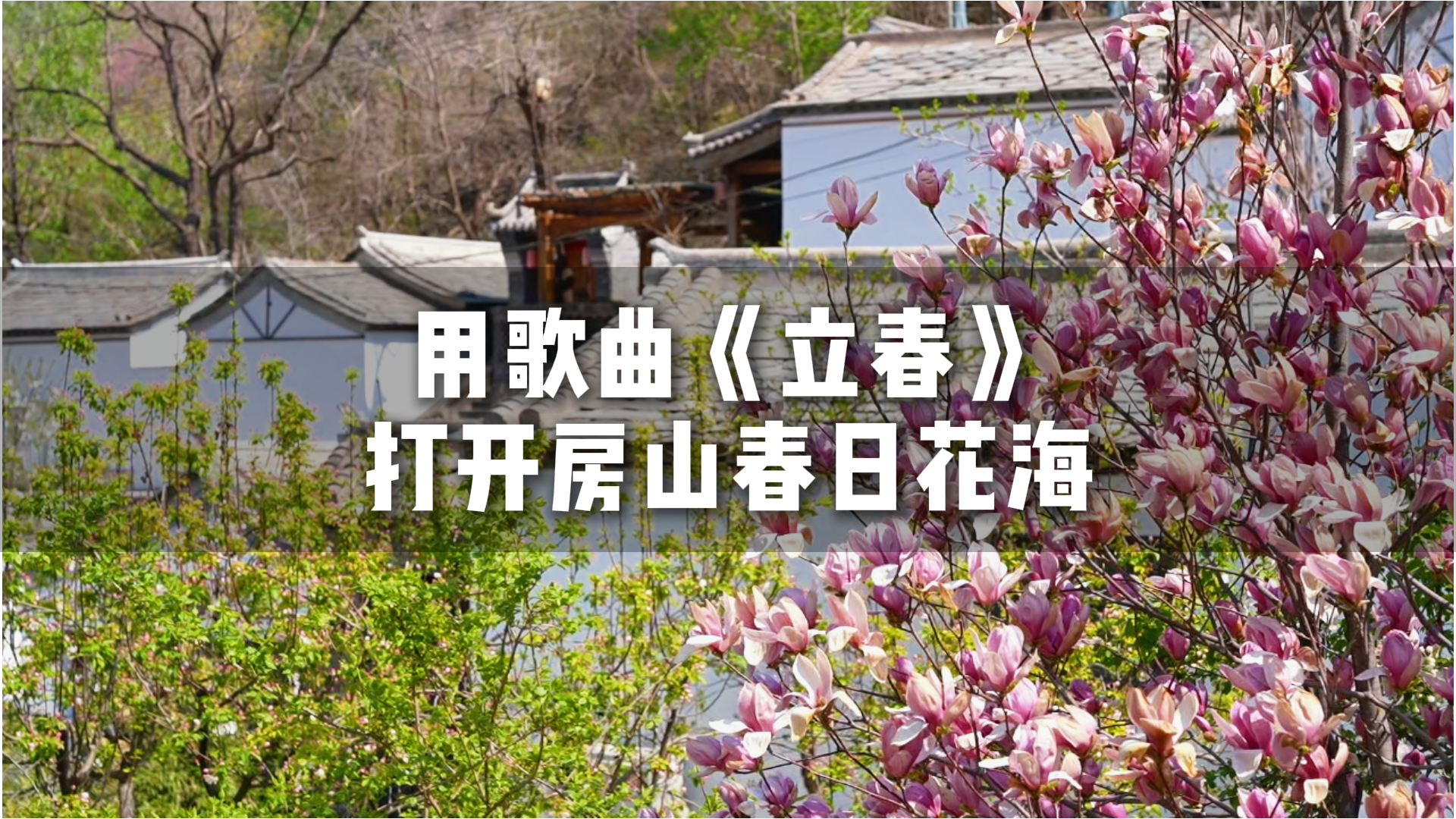 跟着春晚歌曲《立春》，赴一场北京房山春日之约吧