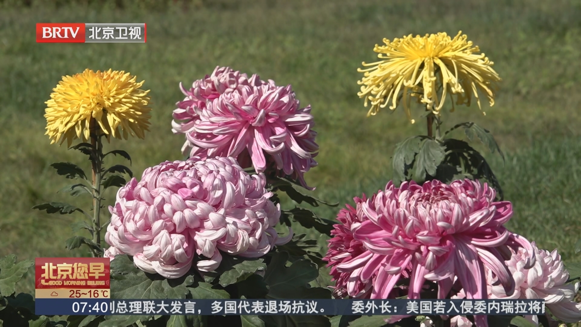 北京国际鲜花港国庆假期再添新玩法_北京时间