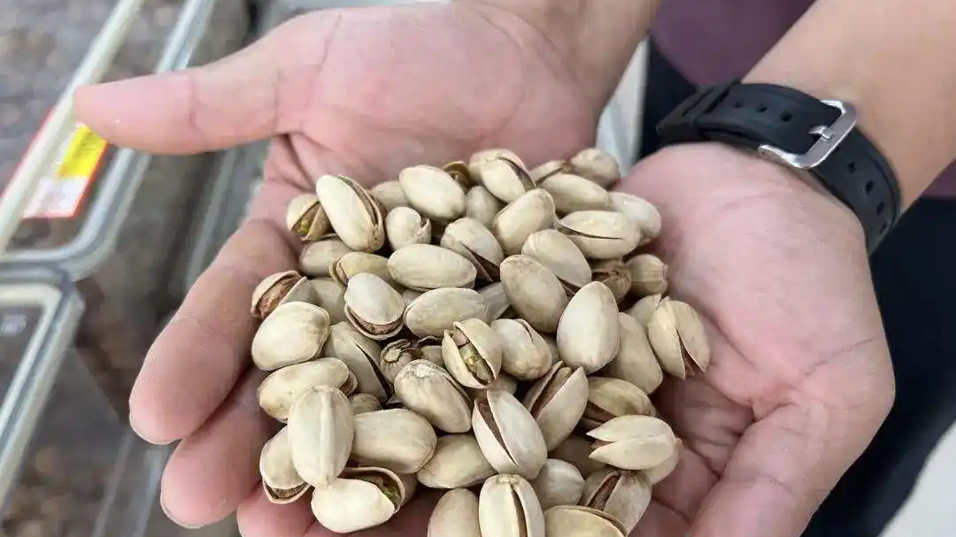 “一斤开心果赶上买两只鸡了”!消费者直呼吃不起,店主:开店30年没见过这个价格 “一斤开心果赶上买两只鸡了”!消费者直呼吃不起,店主:开店30年没见过这个价格