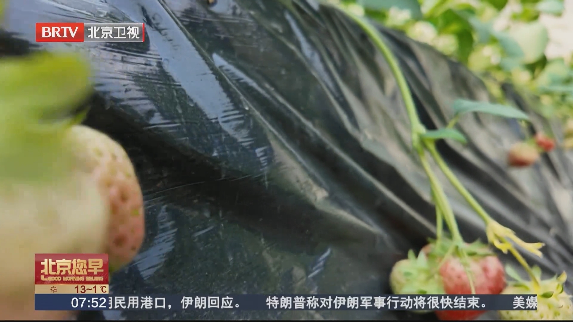 大城市与大京郊：“双向奔赴”带来“协同效应”