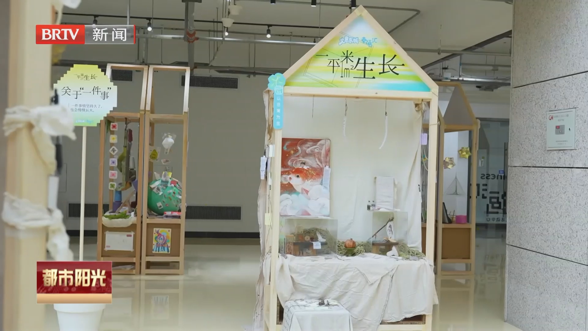 《都市阳光》20261018