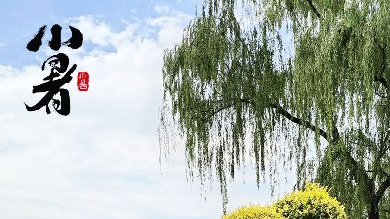 小暑 | 倏忽温风至 因循小暑来 小暑 | 倏忽温风至 因循小暑来