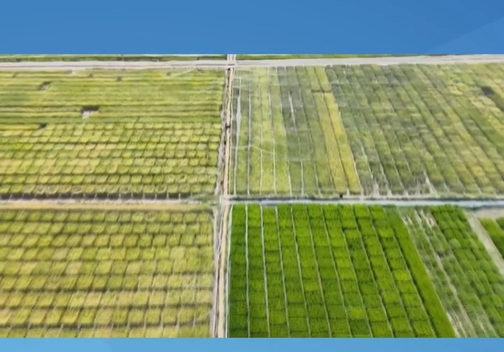 第四次全国农业普查正在进行 这次有啥不一样? 第四次全国农业普查正在进行 这次有啥不一样?