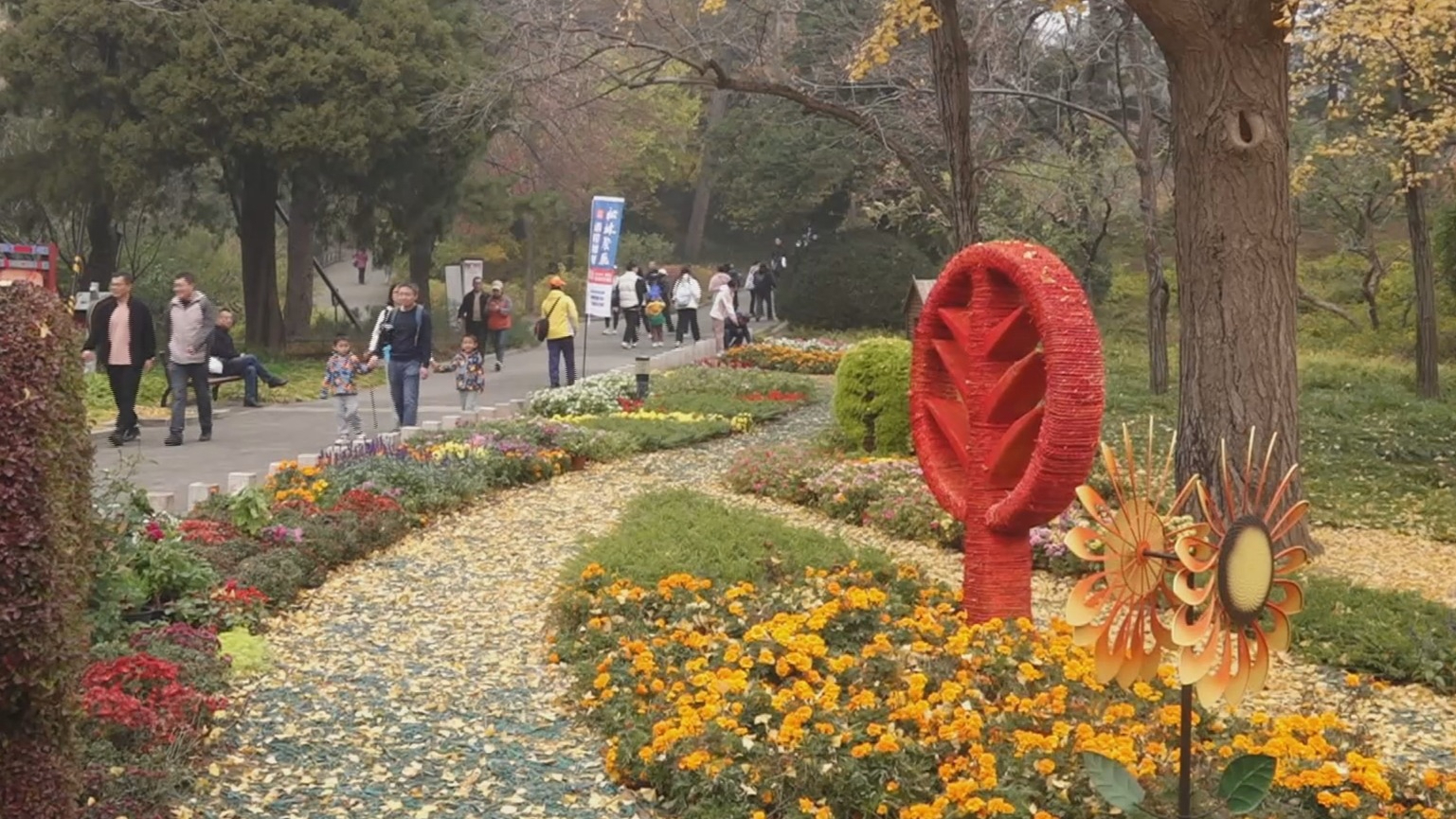 超5500万人次畅享金秋