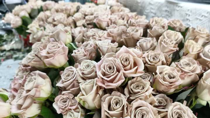 记者实探:情人节玫瑰价格上涨,销量翻倍!扬州人,你今天送花了吗? 记者实探:情人节玫瑰价格上涨,销量翻倍!扬州人,你今天送花了吗?