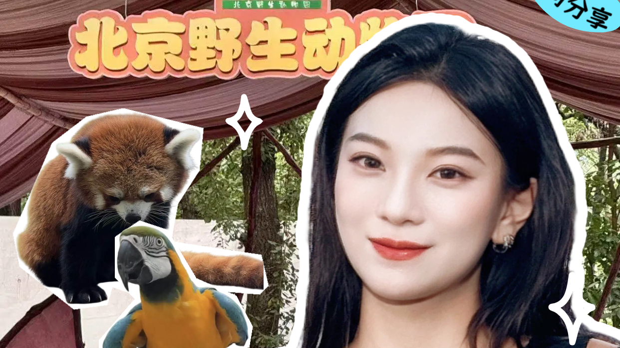 北京野生动物园25周年,晚风音乐节开启森林浪漫派对 北京野生动物园25周年,晚风音乐节开启森林浪漫派对
